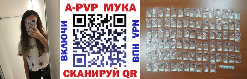 A PVP СК  Химки 
