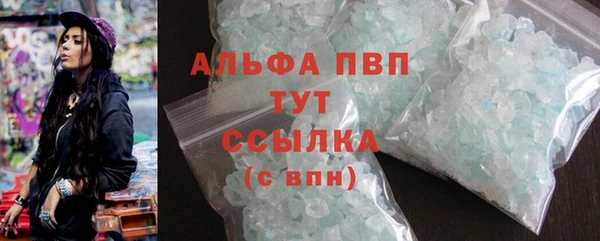 прущий лед Вяземский