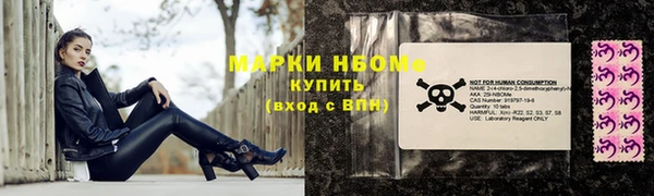 прущий лед Вяземский