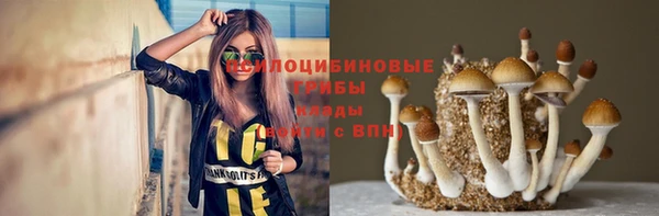 прущий лед Вяземский