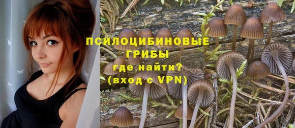 спайс Вязники