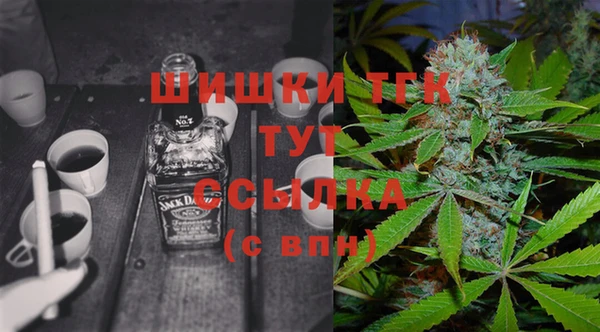 прущий лед Вяземский