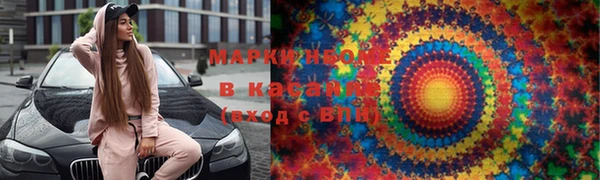 прущий лед Вяземский