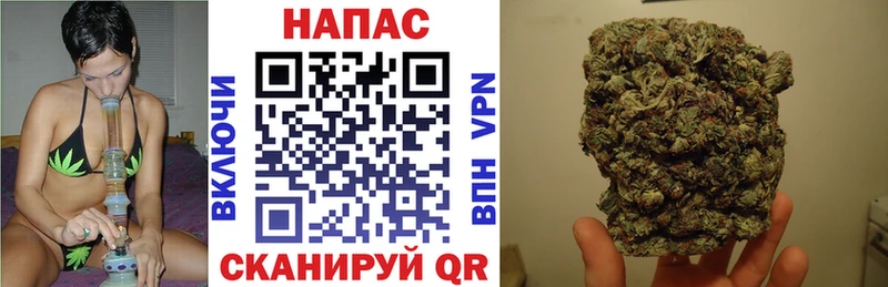 Каннабис план  omg сайт  Химки 